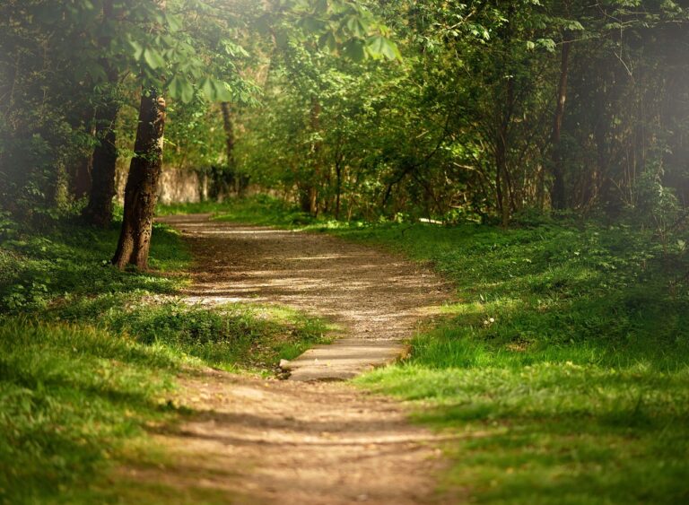 hotel z basenem pod warszawą